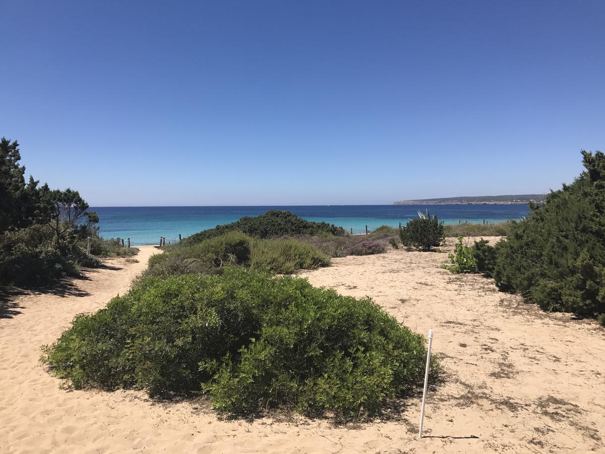 Talaya Formentera Apartment Bãi biển Bãi biển Playa Migjorn Ngoại thất bức ảnh